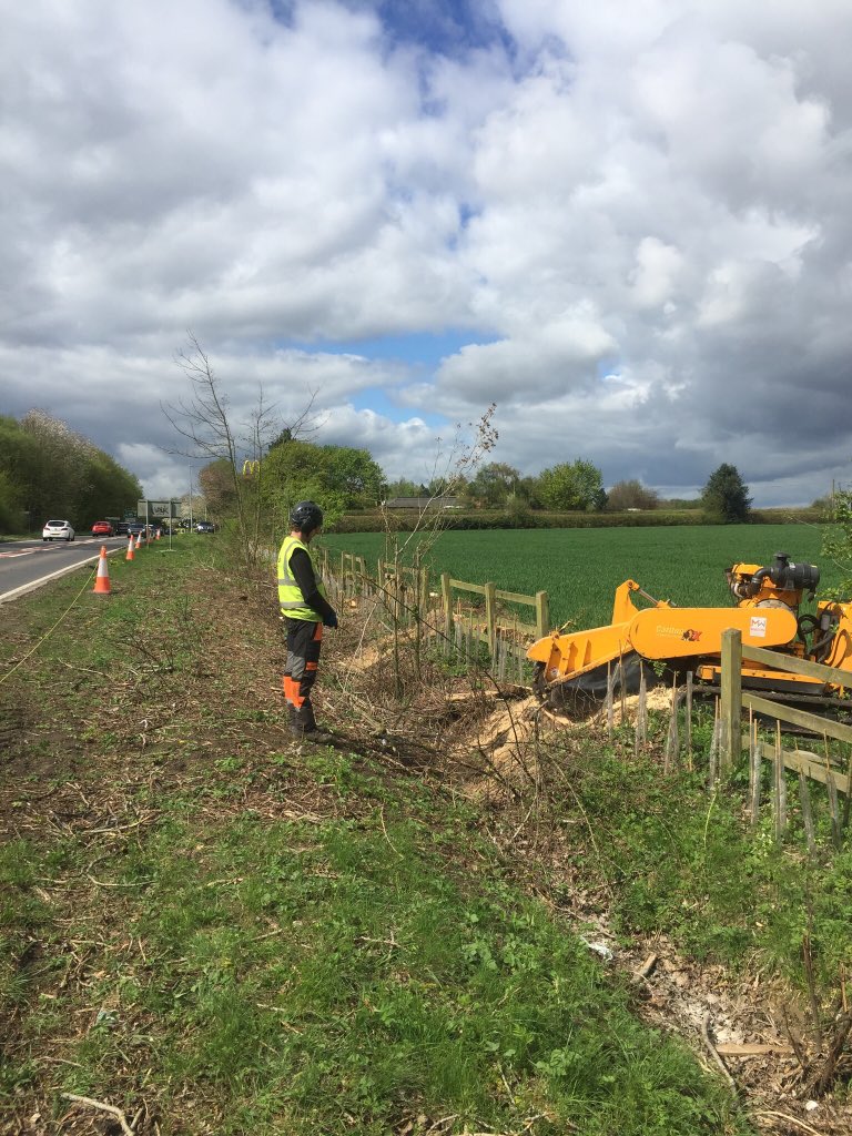 Haine Tree Services tweet media