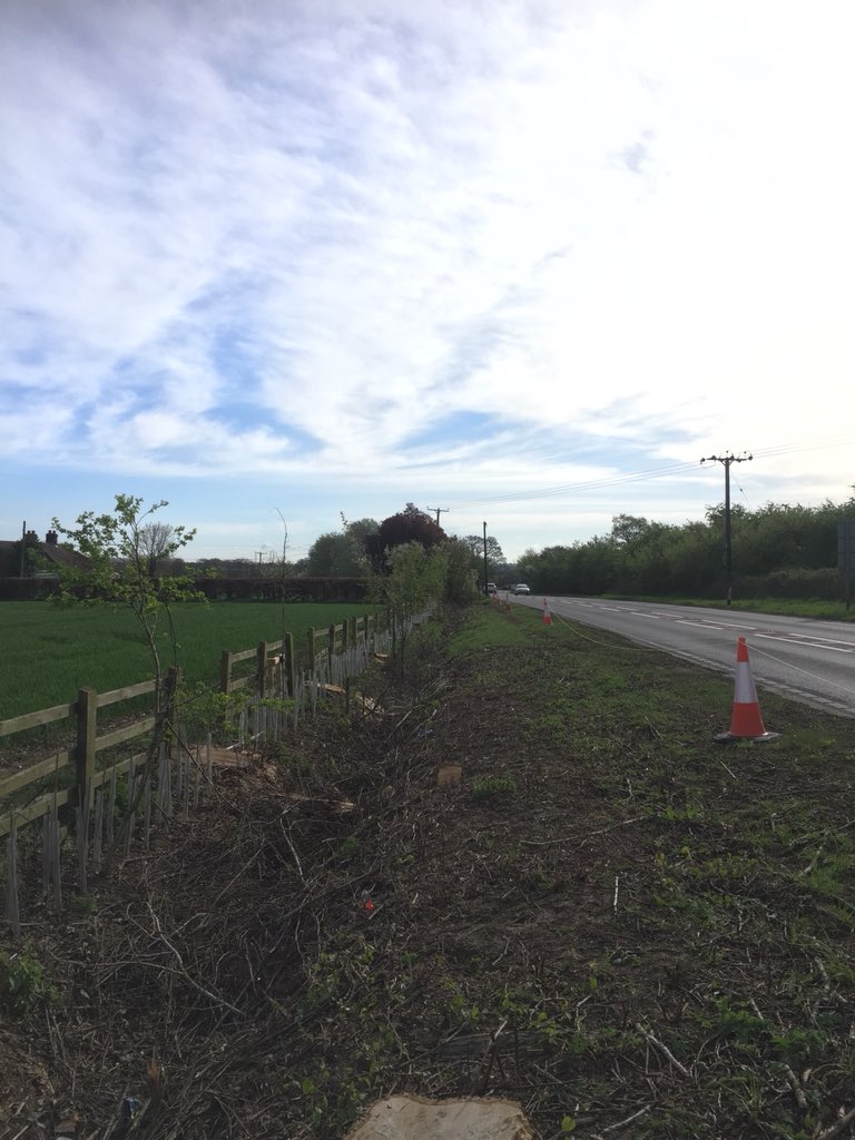 Haine Tree Services tweet media