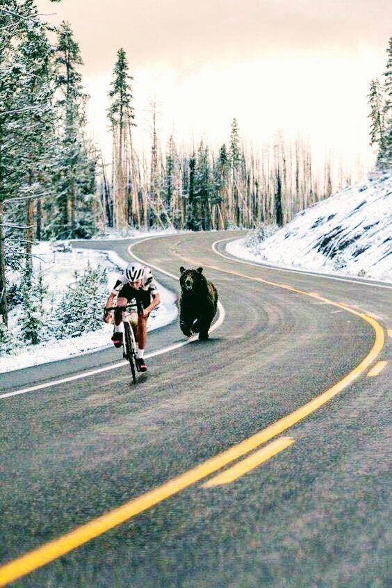 Mariepink77's tweet photo. Can we say...meals on wheels😂😂 #kodakmoment #pedalbabypedal #yikes #twitterhumor https://t.co/XQUHpZCspR