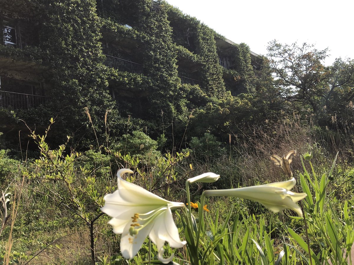 ROUTE66FREEDOM's tweet photo. 長崎県池島にやって来た。 https://t.co/InYCXSSJfc