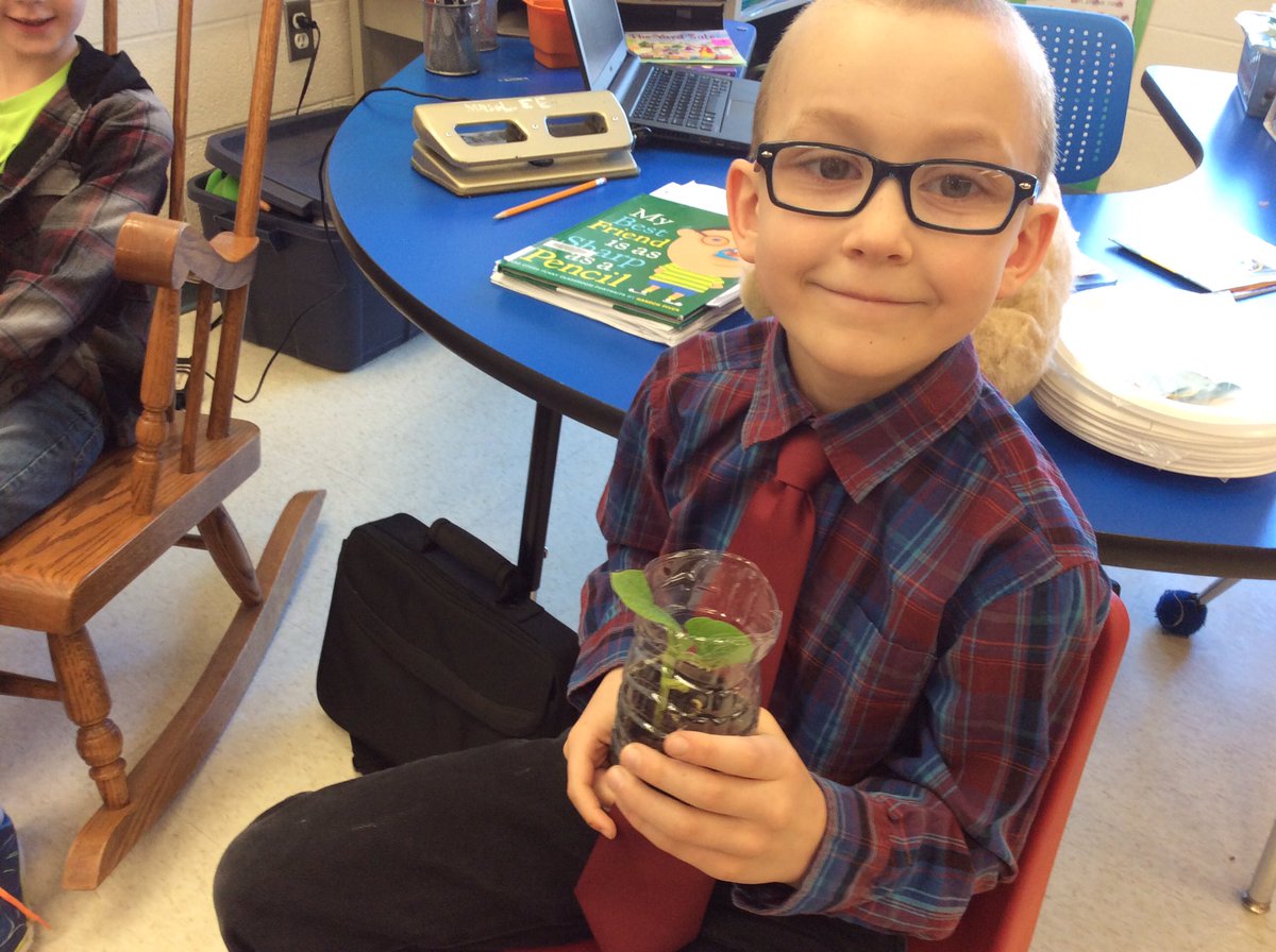 PamleePlee's tweet photo. Our bean plants are growing @GuthriePublic @scdsbmath Science & learning = fun!! #lifecyclemagic https://t.co/sJCVTXGmuX