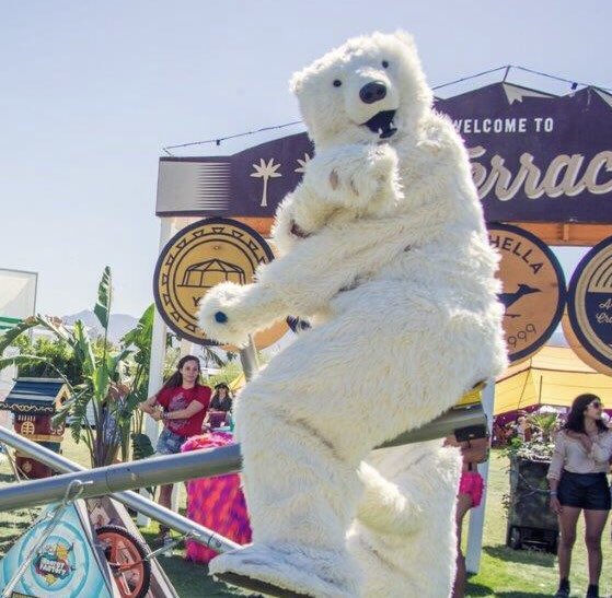 Pbunnyret's tweet photo. Well it’s now official, I now have to change my Twitter @sign, more to come https://t.co/JA8bHkd3ru