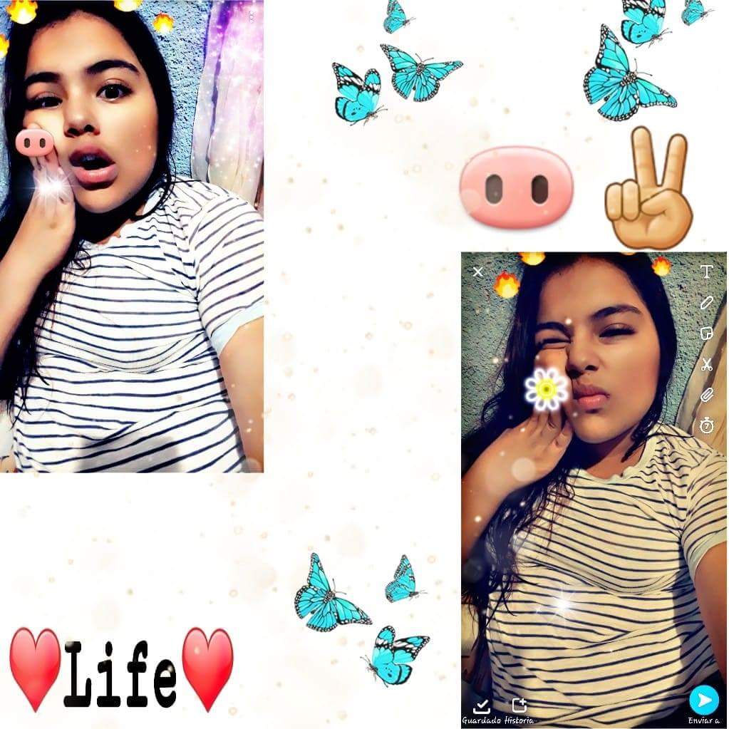 BismaryRamirez's tweet photo. 🐽💞 https://t.co/zA7TQRMjYa