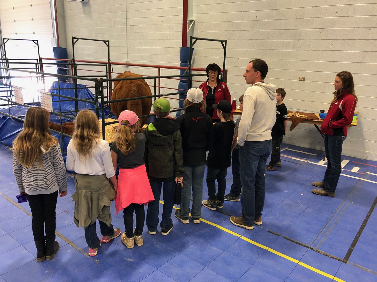 SK_StockGrowers's tweet photo. Day two of Discover the Farm in Swift Current, learning #wherebeefcomesfrom #ageducation https://t.co/qBVub7qrcA