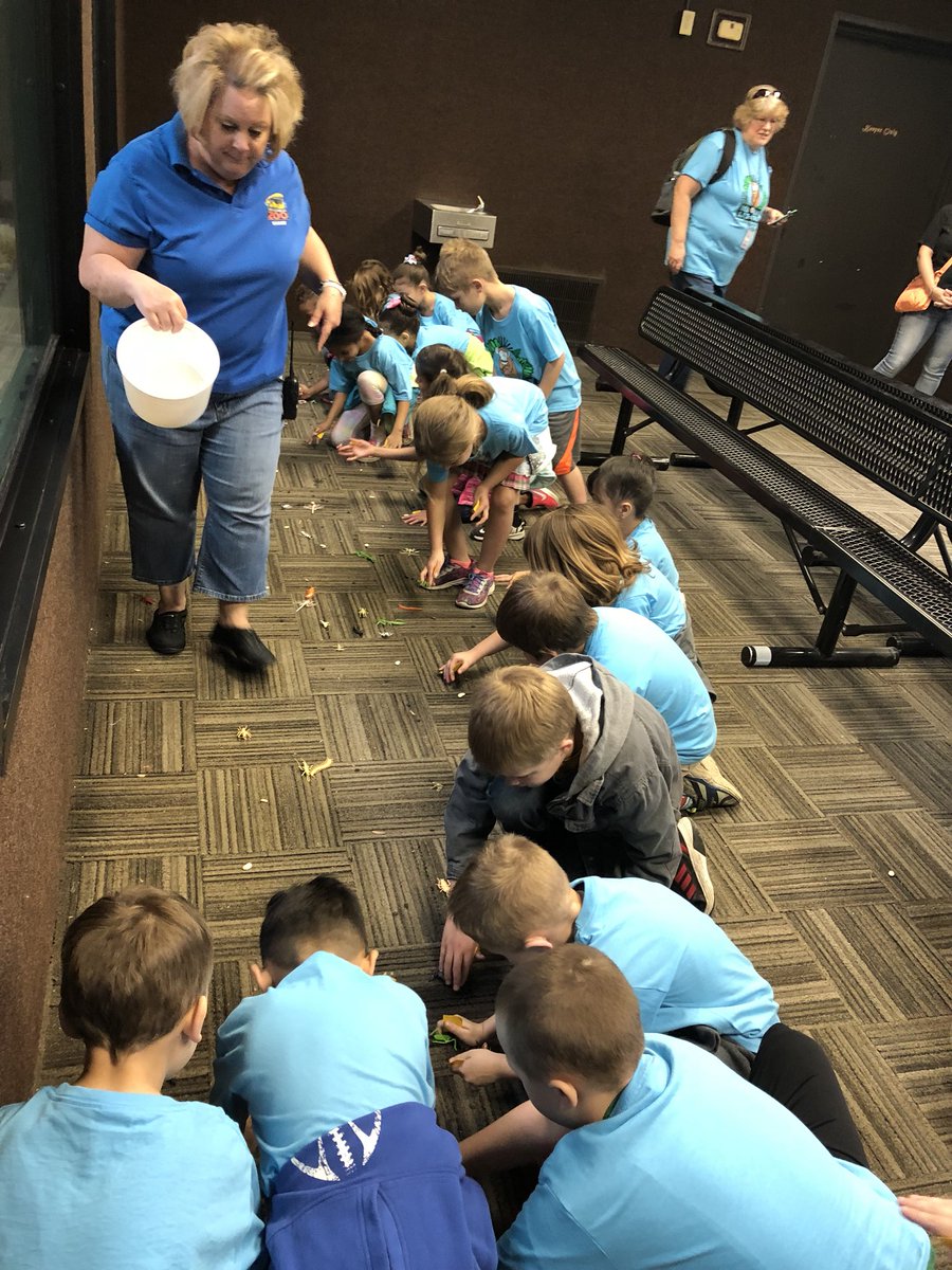 CW_Robinett's tweet photo. 1st grade had an awesome time at the zoo!!! @WeAreCottonwood #CWCommunity https://t.co/B8VIWnPcKG
