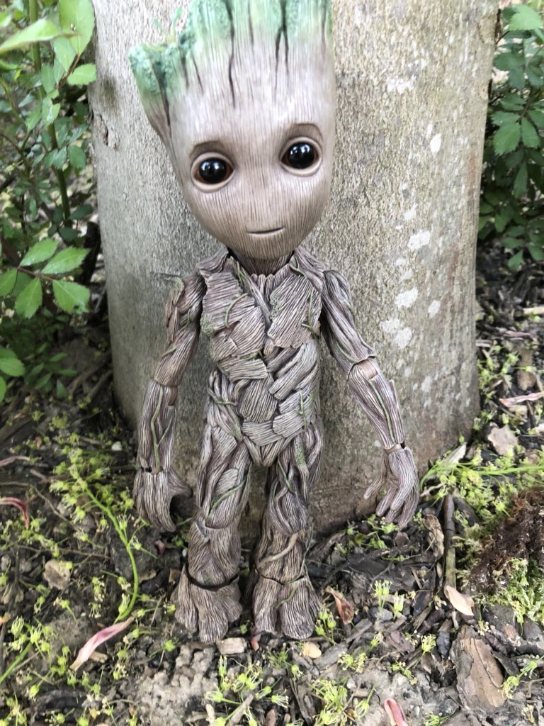 mulderville's tweet photo. Notre #MiniGroot profite de la belle ville de #MagnyLeHongre à quelques pas de @DisneylandParis pour se ressourcer en pleine nature @MarvelStudios #GuardiansoftheGalaxy @Guardians @JamesGunn .. https://t.co/GB6mA0DCrw