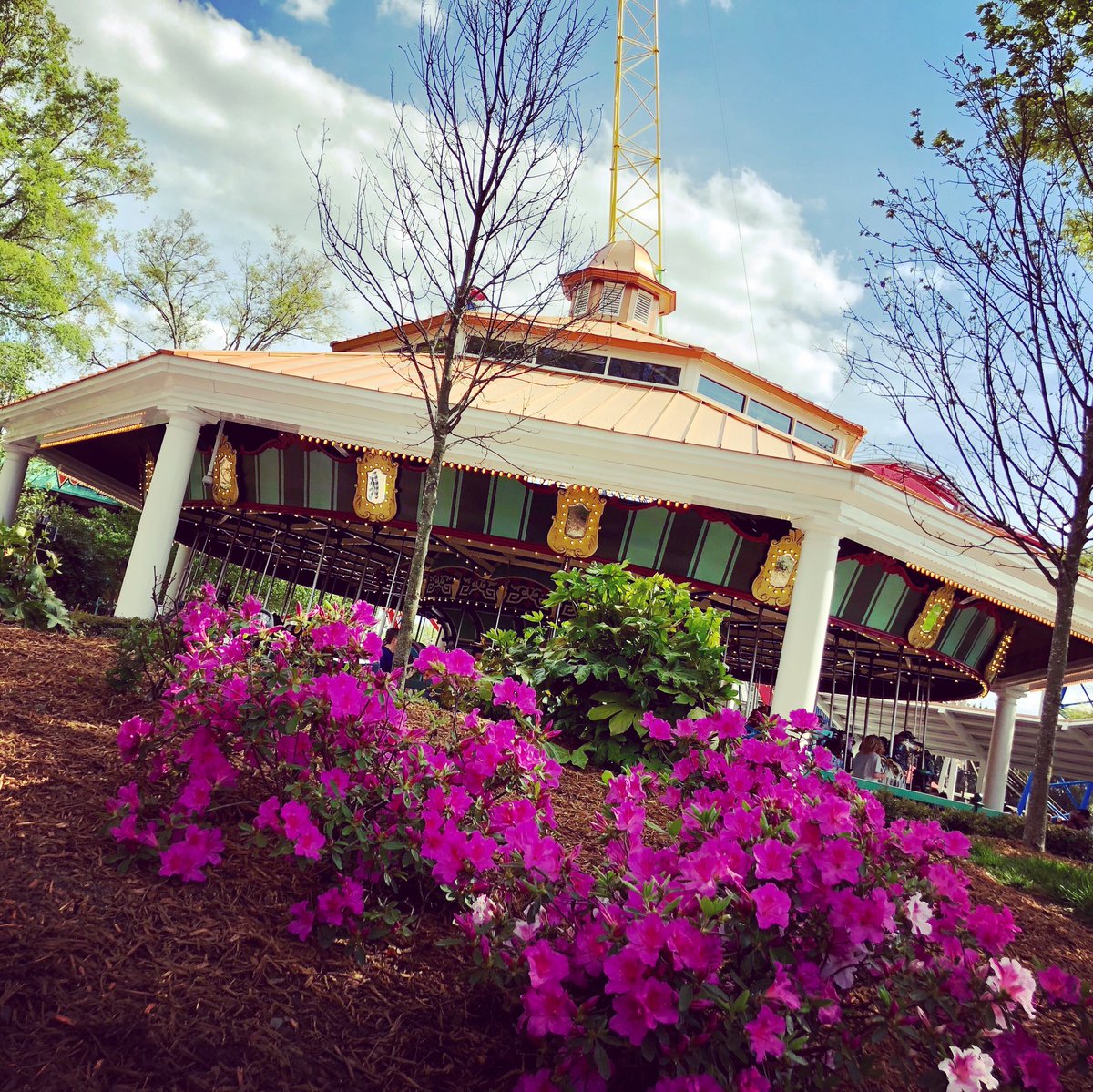 JustOut_nAbout's tweet photo. It’s looking like a good weekend for a park visit @Carowinds What are your weekend plans? #carowinds #amusementpark #coasters #carousel #wherethecarolinascometogether #finallysomegoodweather #spring https://t.co/7JUJ6akfhL