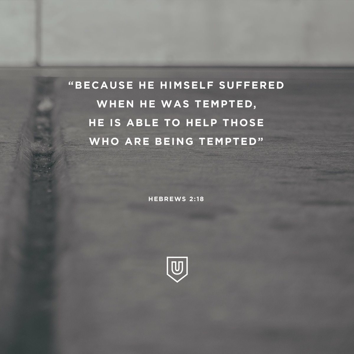 Remember guys for every temptation you’ve worked through, you can now walk with your brother through his temptations. 

#discipleship #mightymen