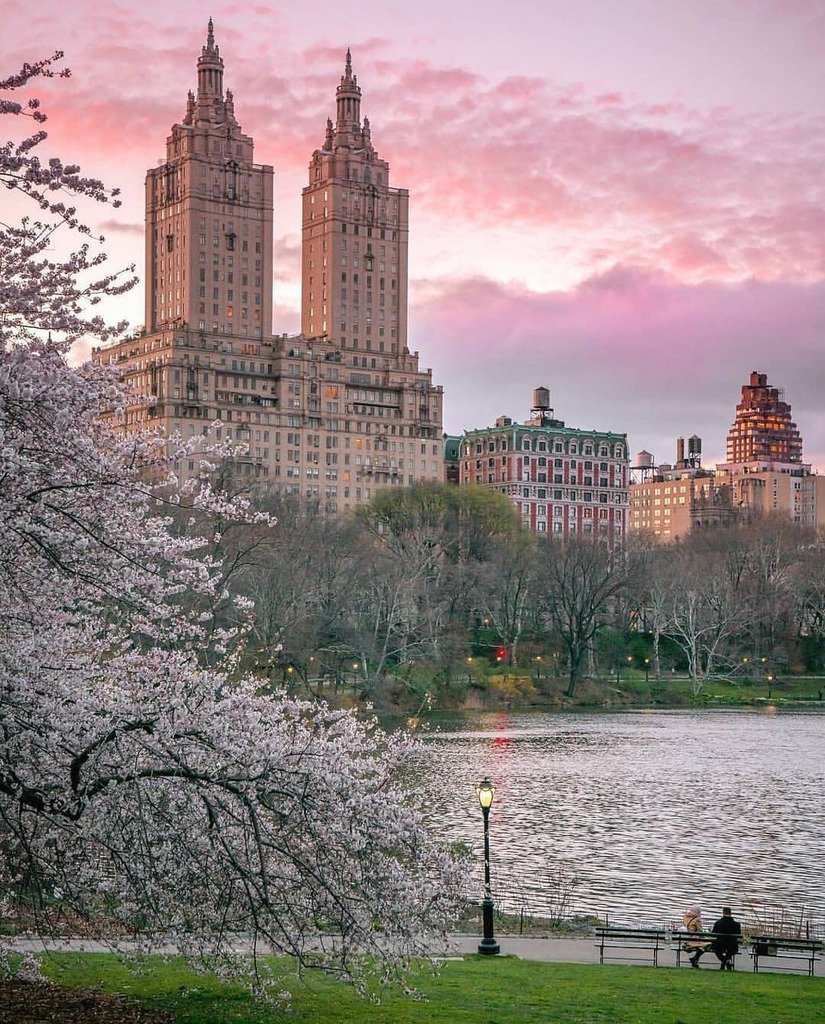 RT<a href="/nycfeelings/">NewYorkCityFeelings</a> Central Park, NYC by <a href="/212sid/">212sid.eth</a> [Enjoy +images at gonyc.co/2JA9a1d ] | The Best Photos and Videos of New York City.