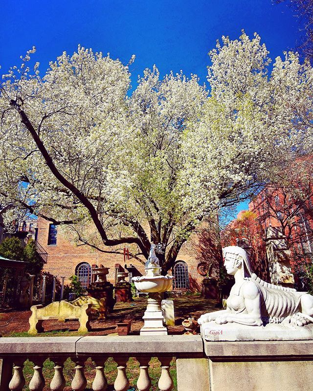 RT<a href="/gigi_nyc/">Gigi A</a> To be poor and be without trees, is to be the most starved human being in the world. To be poor and have trees, is to be completely rich in ways that money can never buy.
- Clarissa Pinkola Estés