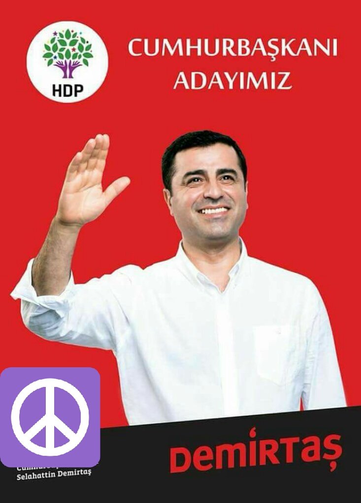 Cihan (@cihan51950431) on Twitter photo 