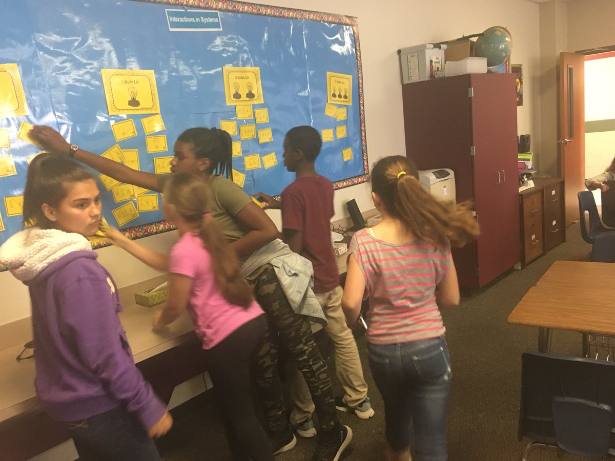 Sherylrob7's tweet photo. Look at the Cryar Cats working together. @CryarCats https://t.co/BbjWa5UtAW