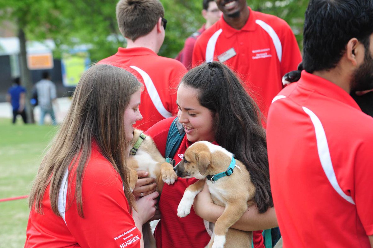 NCStateEngr's tweet photo. What better way to celebrate the last day of classes than with puppies 🐶 🐾 #LDOC #NCStateEngr #MiniWolvesinECE https://t.co/dDANihtQSC