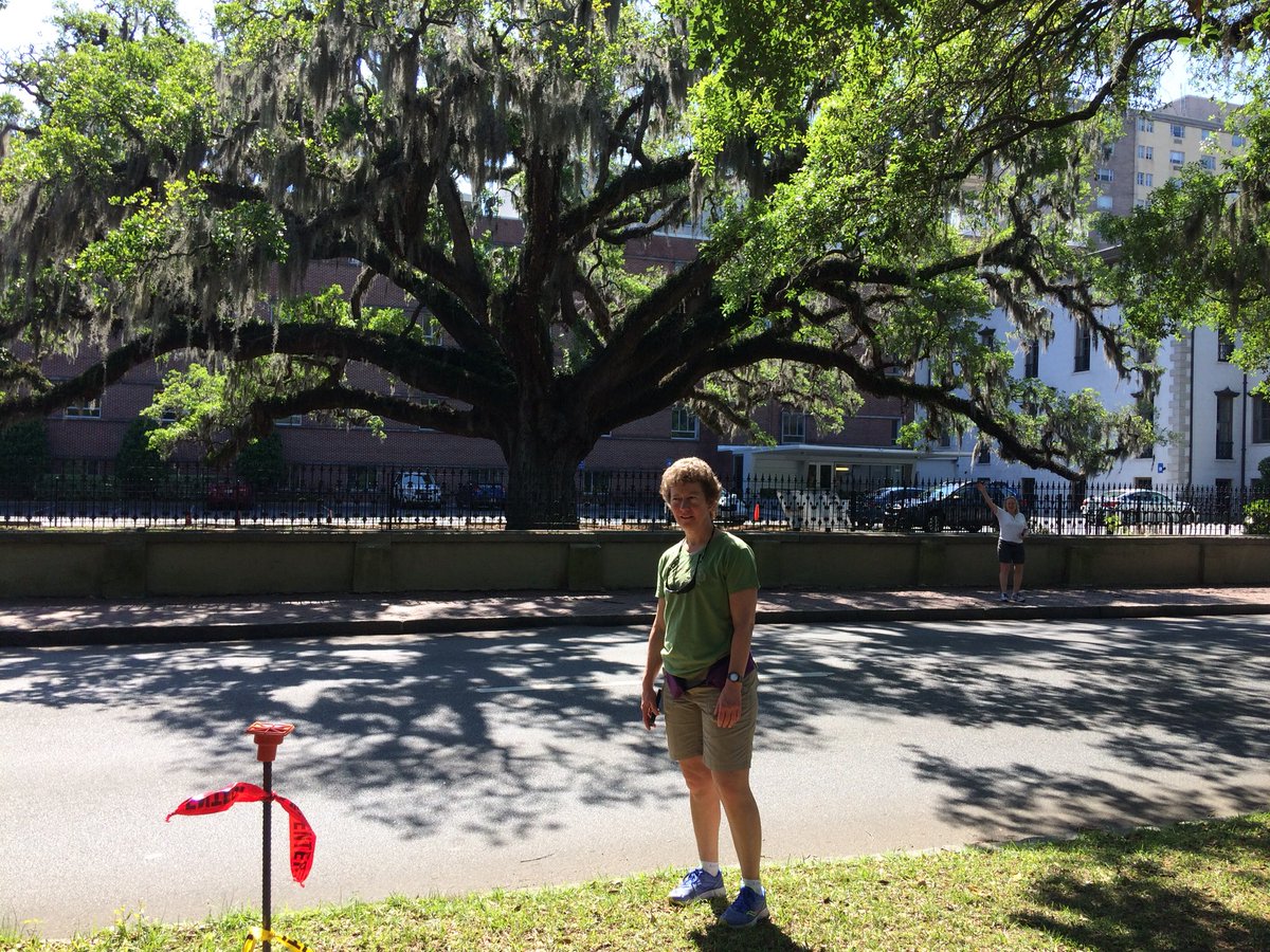 Suer55's tweet photo. Road trip - now in #Savannah https://t.co/Iw2jJARPjo