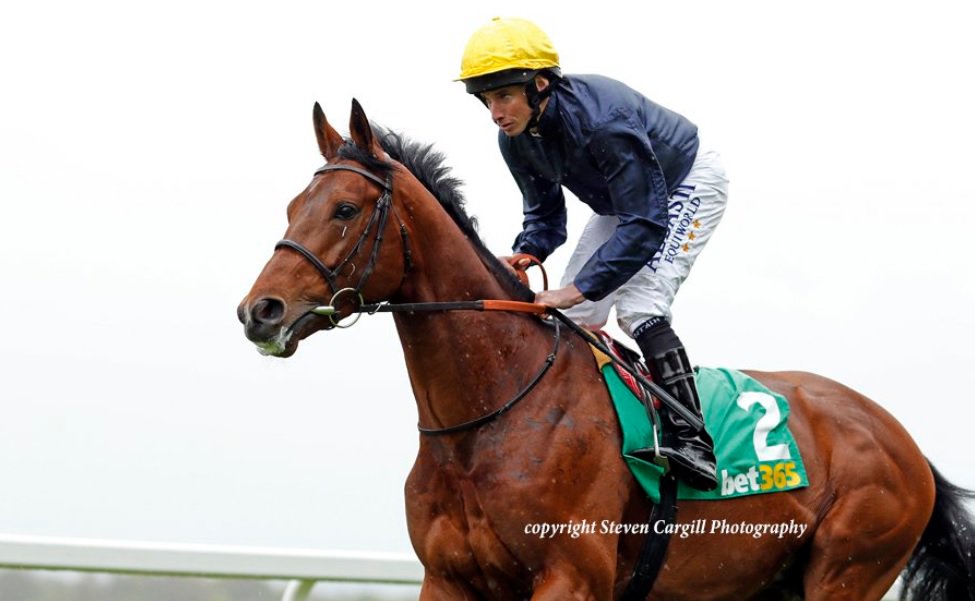 rebelsart's tweet photo. Riding double today for jockey Ryan Moore at @Sandownpark
๐Crystal Ocean, trainer Sir Michael Stoute
๐Haddaf, trainer James Tate
(Beautiful Steven Cargill @Steven_Cargill photos ๐ธ)
#Sandown #ryanmoore #HorseRacing #crystalocean #haddaf https://t.co/XRGG5hfzkR