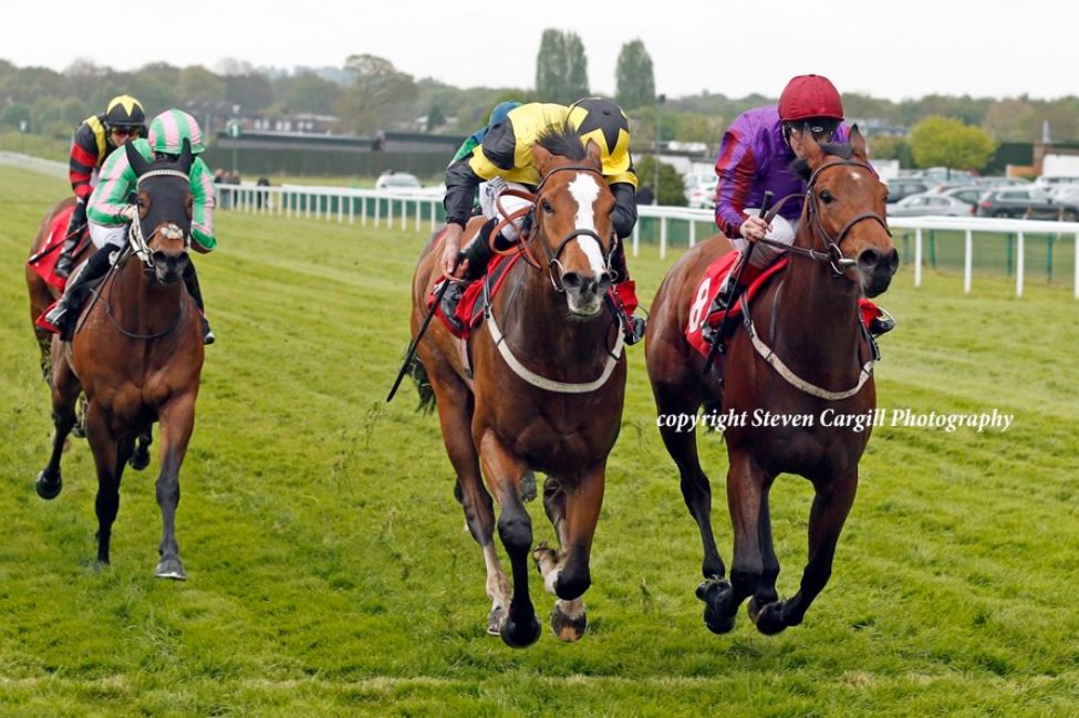 rebelsart's tweet photo. Riding double today for jockey Ryan Moore at @Sandownpark
๐Crystal Ocean, trainer Sir Michael Stoute
๐Haddaf, trainer James Tate
(Beautiful Steven Cargill @Steven_Cargill photos ๐ธ)
#Sandown #ryanmoore #HorseRacing #crystalocean #haddaf https://t.co/XRGG5hfzkR