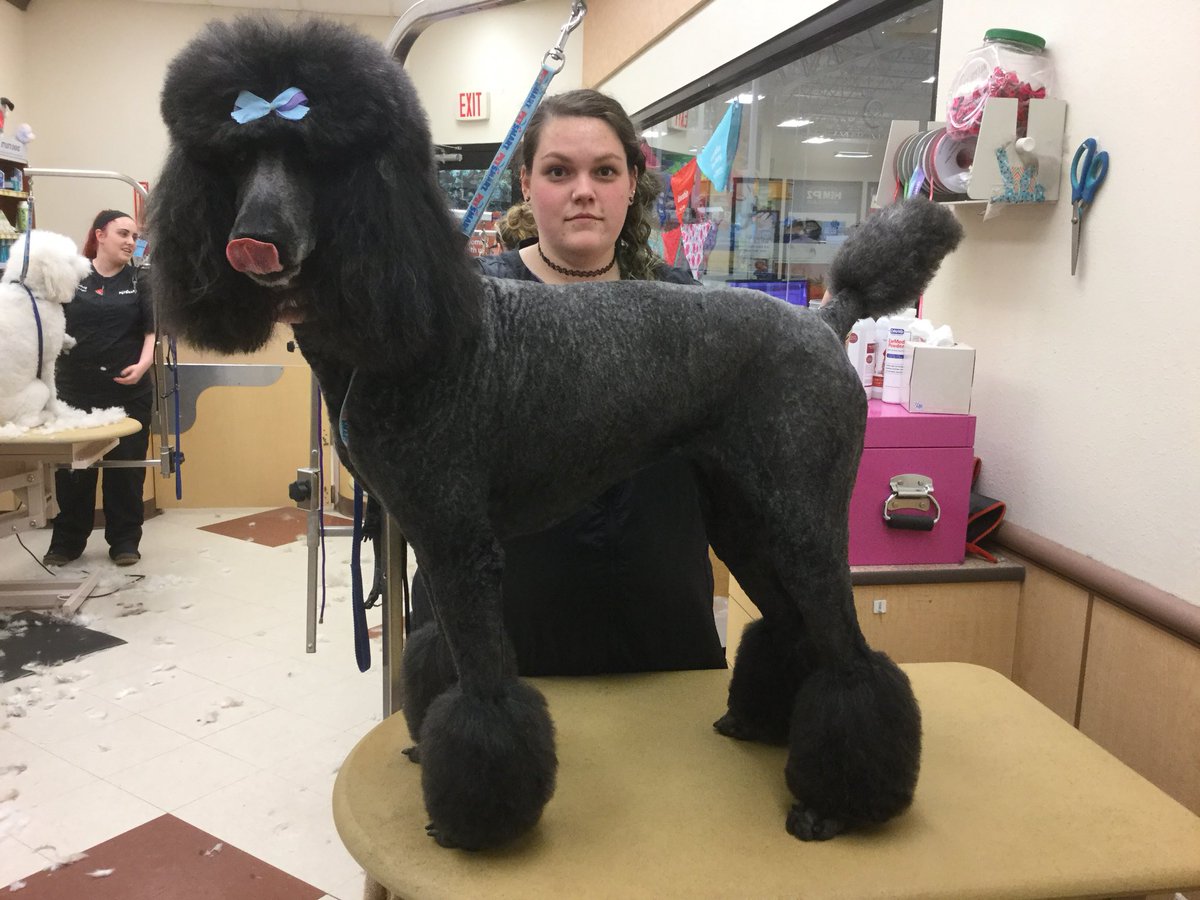 PetSmart_Newtown tweet media