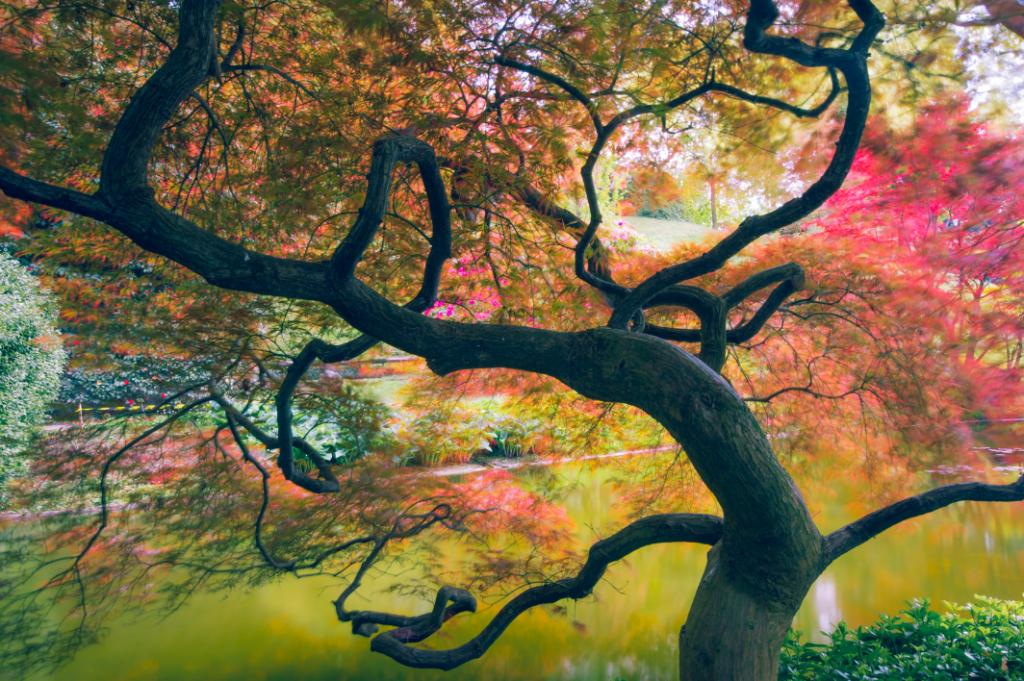 Windows's tweet photo. 🌳🌳🌳

Celebrate #NationalArborDay with this 16-image #Windows10 Theme of mighty, magnificent trees: https://t.co/PXq5airaxn https://t.co/rqJlLIUcBT