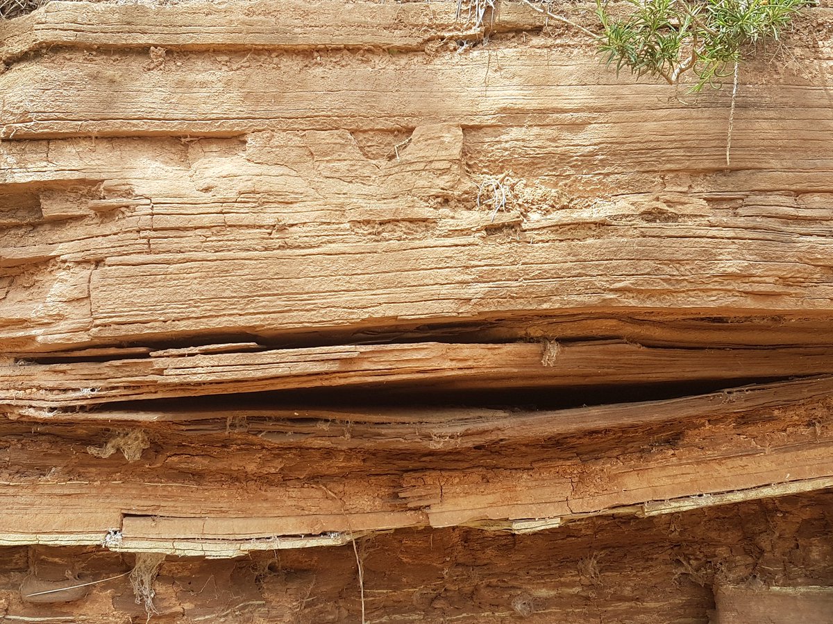 RogerMLL's tweet image. Marevelles geològiques en el #Triàsic del #Montseny. Una mirada geologica