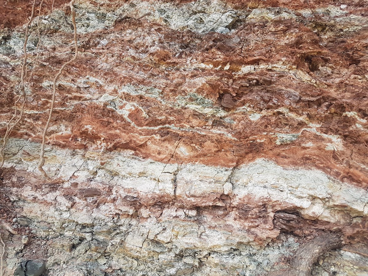 RogerMLL's tweet image. Marevelles geològiques en el #Triàsic del #Montseny. Una mirada geologica