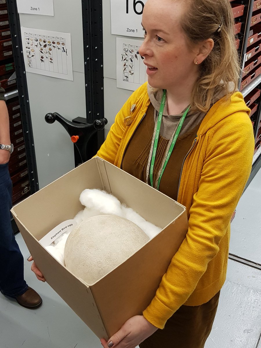 TheMuseumOfLiz's tweet photo. Oh @childof_TMoL I'm so sorry you missed all this fantastic #museum stuff today: vacuum cleaners, stuffed birds, giant eggs and things in jars
#leedsdiscoverycentre
#lovemuseums #NatSCA2018 https://t.co/Nakcg3EM38