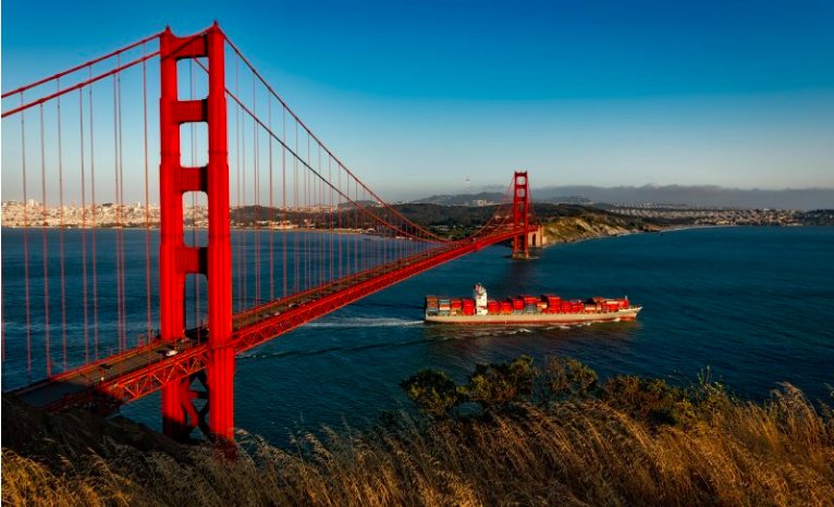 Are you unsure whether ammunition can legally be bought online in California?
We get lots of questions about California laws regarding gun and ammunition purchases, so we put together a quick guide to set you straight on what's legal and what isn't. #guns

owl.li/e3hE30jAcij