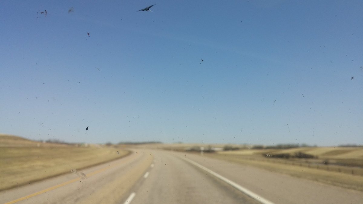 On way from YEG for  <a href="/gordbamford/">Gord Bamford</a> <a href="/dallassmith/">Dallas Smith</a> <a href="/BrettKissel/">BRETT KISSEL</a> <a href="/jessmoskaluke/">Jess Moskaluke</a> #humboldtstrong gonna be a great night for great cause!!
