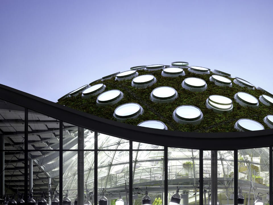 HL_InnerSunset's tweet photo. California Academy of Sciences hosting inclusive job fair
https://t.co/LOkd7TcuXg by Camden Avery https://t.co/NpcvbAnjQ1