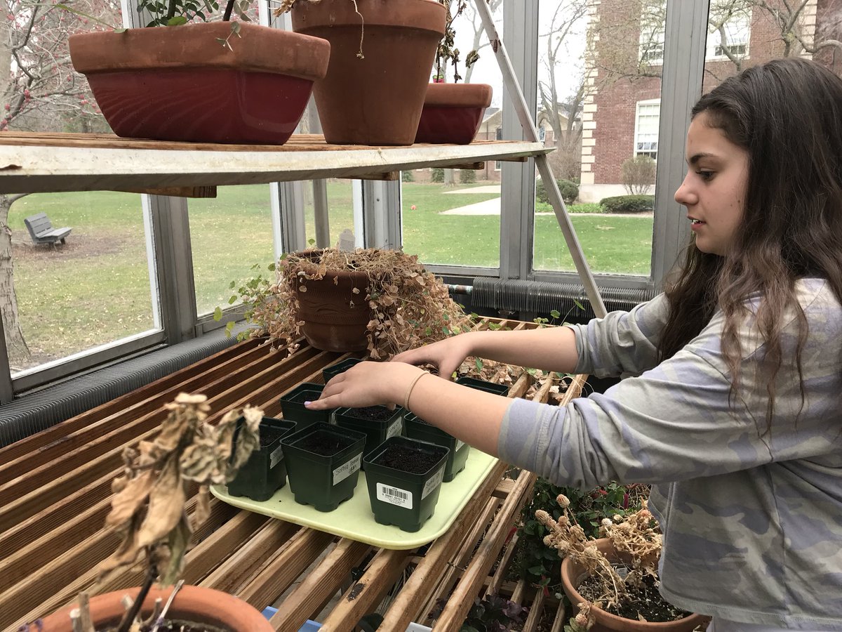 MrsChampagne25's tweet photo. 8th Grade projects are getting into full swing. Monitoring peach trees, testing for metals in water, using the greenhouse, and setting up aquaponic systems. #liggettaproach #liggettlearns #studentdriven https://t.co/O68S7AQSZv