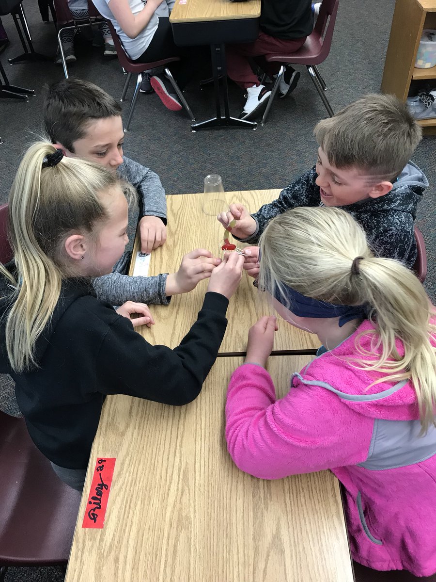sam_kaeter's tweet photo. Working together as a team to save Fred, the gummy worm! @MonroeMAPS #MAPSready #FourthGradeRocks https://t.co/4fyUC2oGtt