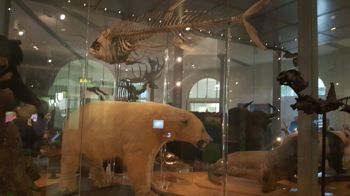 MegCJ88's tweet photo. This is a public service announcement
Tuna bigger than polar bear
Thank you for listening
#NatSCA2018 https://t.co/qJEYZWJ5wO