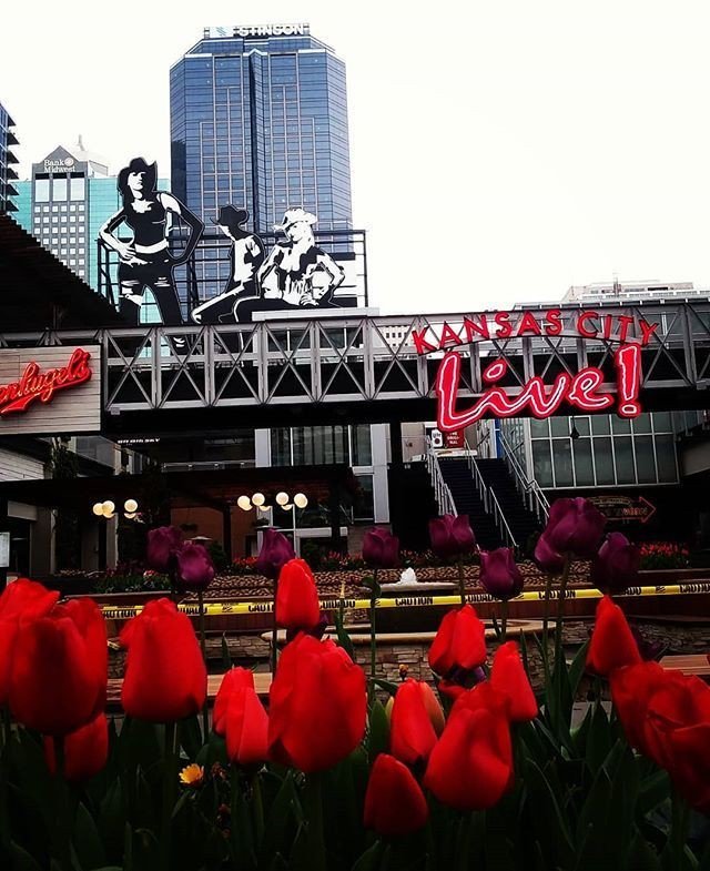 VisitMO's tweet photo. A Missouri spring adventure is calling your name. Head out to Kansas City for some fun at Power and Light. 📷 @vidutevida )
.
.
.
#Missouri #MO #missouriadventure #ShowMeState #ShowMe #ShowMeMissouri #KansasCity #KansasCityMissouri #KCMO #KC #Powerand… https://t.co/CjPtbzMi38 https://t.co/pT938jJa2X