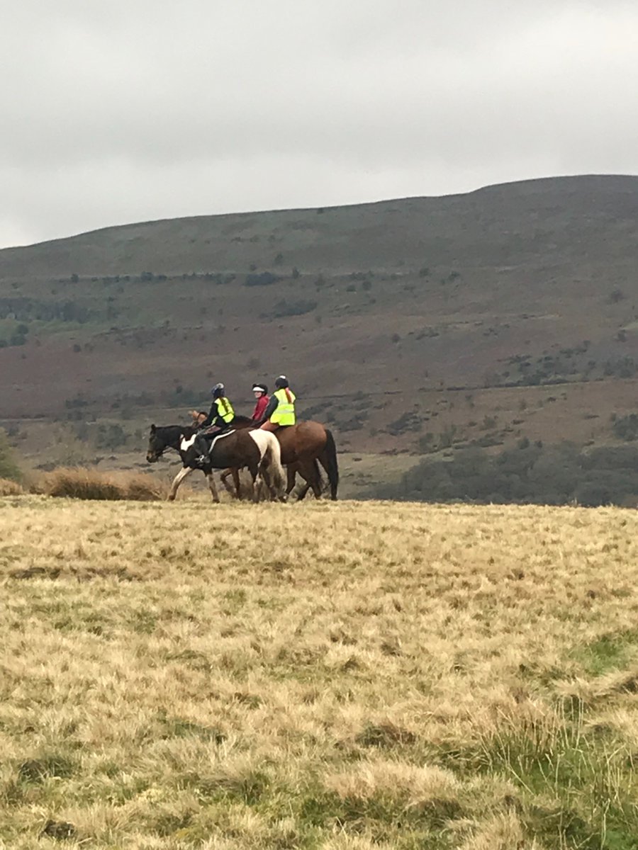Golden Castle Riding Stables tweet media