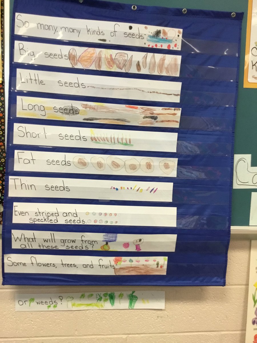 Tying Language Arts into our Science unit on plants. Today students took lines from the poem “Seeds” and used key words to help them visualize the poem. Then we rebuilt our poem together. <a href="/CopperHillES/">Copper Hill</a> <a href="/FlemRarSchools/">FlemRarSchools</a>
