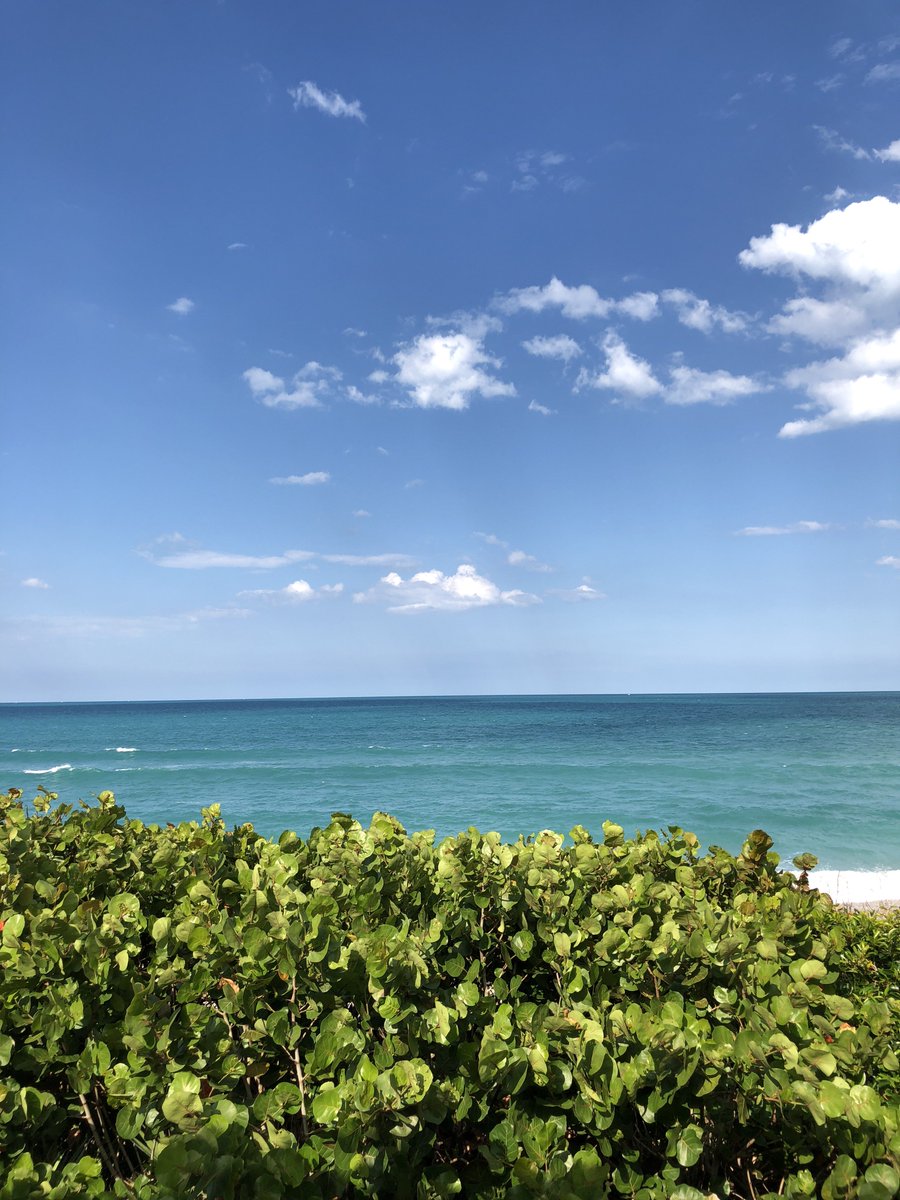 FinMusic's tweet photo. if this doesn’t work out

we could always be husbands and fathers

take our families on vacation to the beach

and look out at the ocean, and wonder 

are we just Ordinary https://t.co/g3eVldyrpO