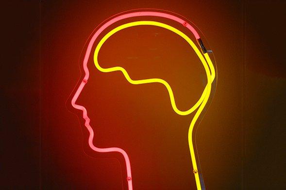 sciam's tweet image. You can increase your intelligence. Here are 5 ways to maximize your cognitive potential: bit.ly/2Jumcxe