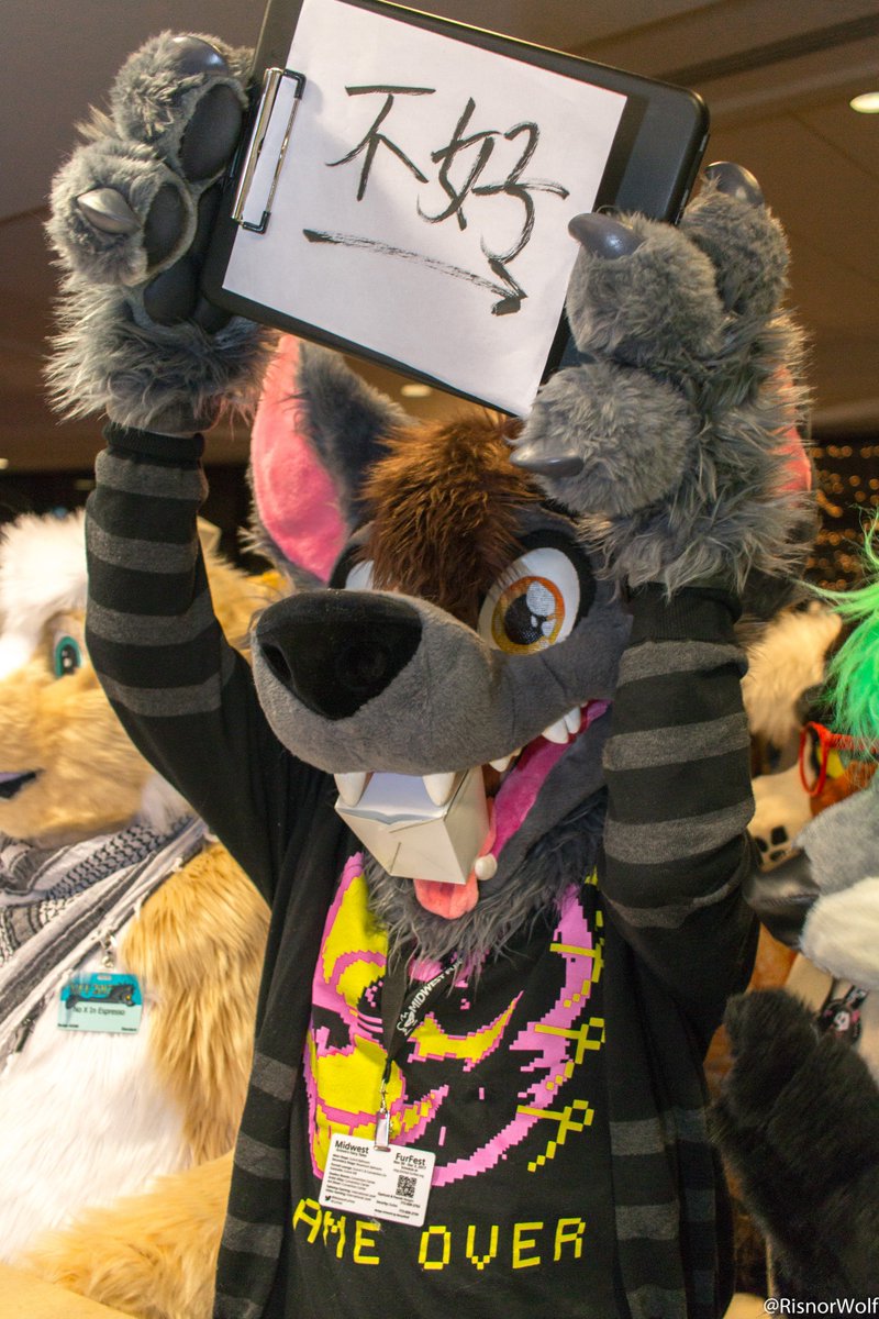 RisnorWolf's tweet photo. Happy #FursuitFriday from the wild #AsianPhotobooth at #MFF2017! I don't think these animals get what any of these signs say... yes even the one in English... π€¬βπ―π€π₯
Full Azn Photobooth album: https://t.co/oi8cCFGisq https://t.co/i20kuPp0Xt