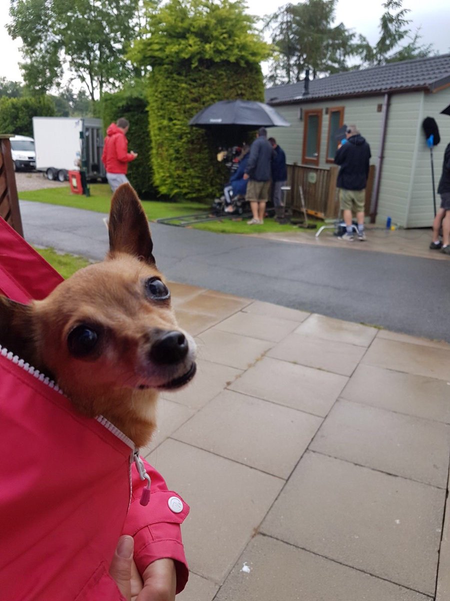 AtaiiFarah's tweet photo. Persia in her role as Fang, building up to her bigger role 🤪#HomeFromHome #amifamousyet #dogsoftwitter #acting #doggy https://t.co/JXWDcoCkg7