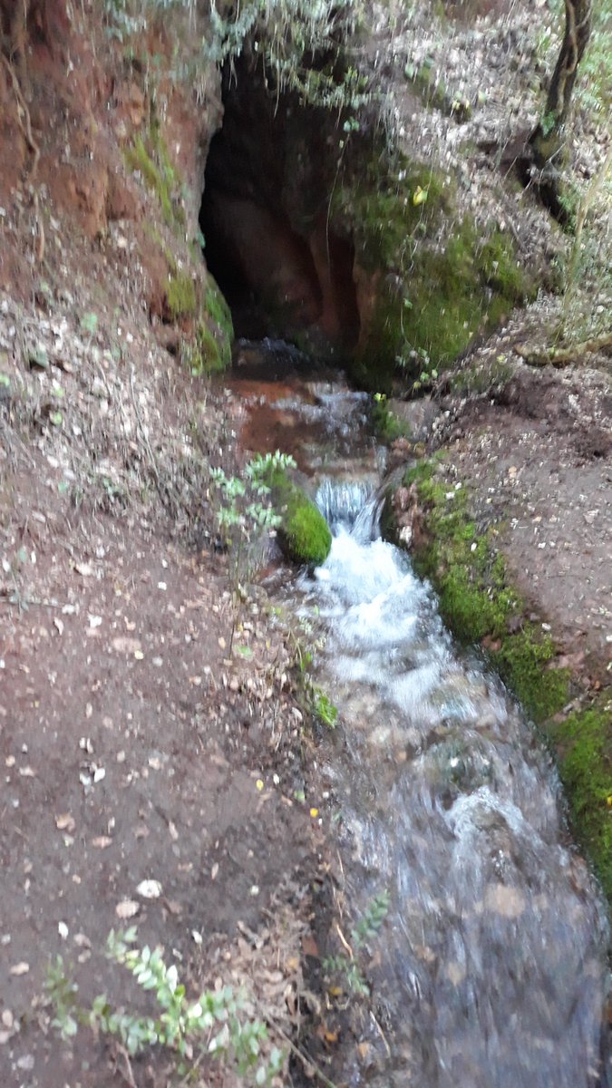 Vakapiupiu's tweet photo. Fonts #avencs i #surgéncies que ja fa 16 dies que brollen a #Rellinars la #Barbotera.... i Vacarisses la #Saiola La #Pedregosa ha baixar dies peró avui s'ha estroncat https://t.co/Eanq9n1N8J