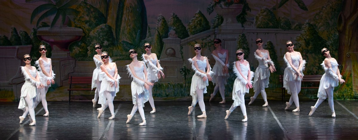 DancePrism's tweet image. A flock of snooty swans glides across the pond in the Public Garden in VARIATIONS ON MAKE WAY FOR DUCKLINGS #DPDucklings #1ShowLeft [Photo by Warren Bailey]