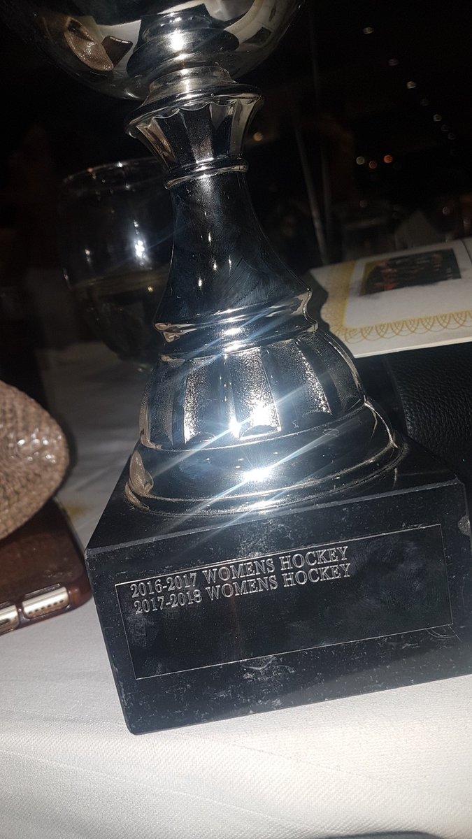 Absolutely stunned and delighted to win Team of the Year for the second year running 💃