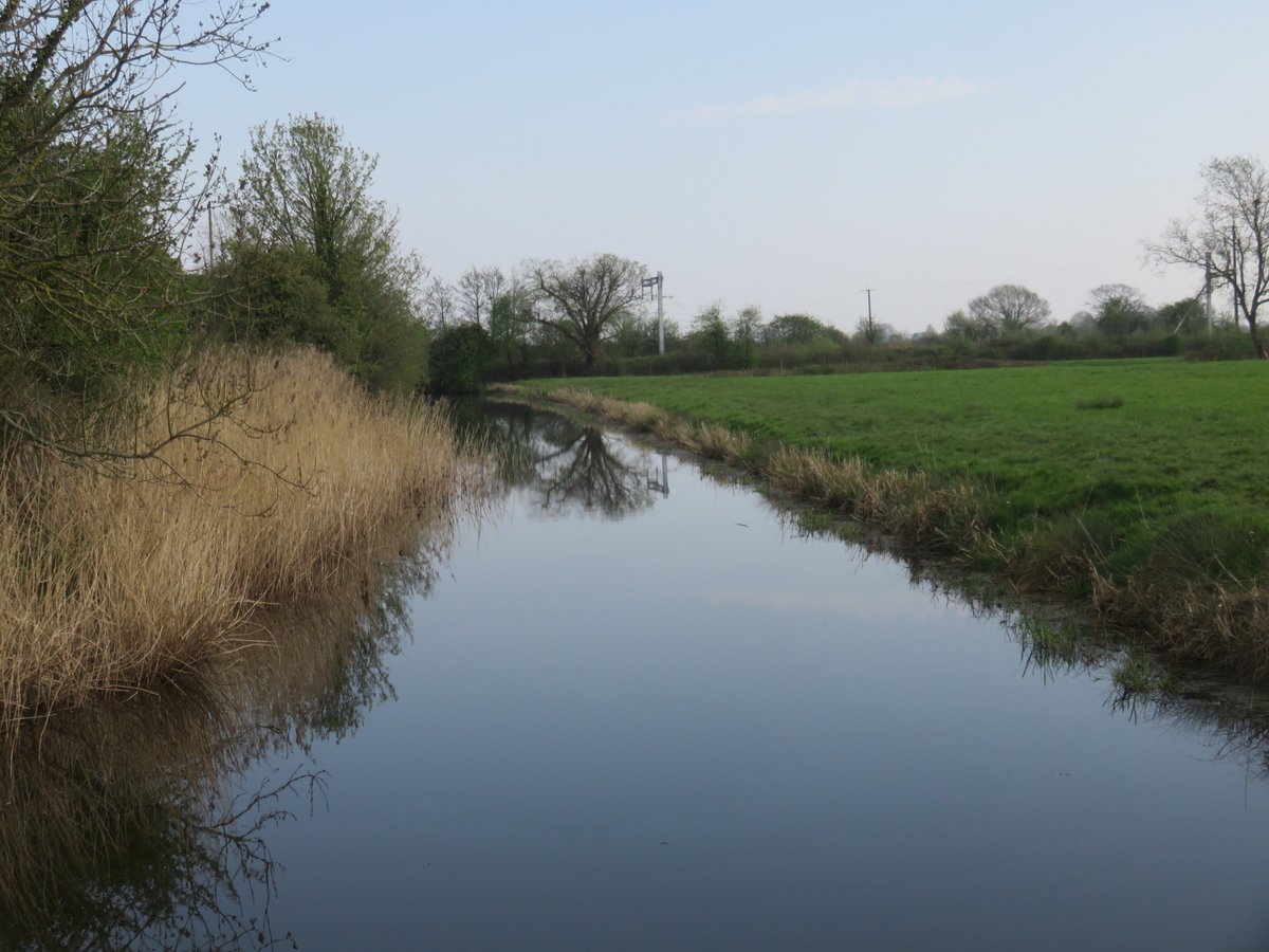 bardofely's tweet photo. I recently visited the #MarshfieldLevels with @RogerGilbert where we saw an #orangetipbutterfly, #commonnewts, #ramshornsnails and a #reedbunting amongst the flora and fauna living in this #wetland of #reens! https://t.co/Niz6CsDDfV