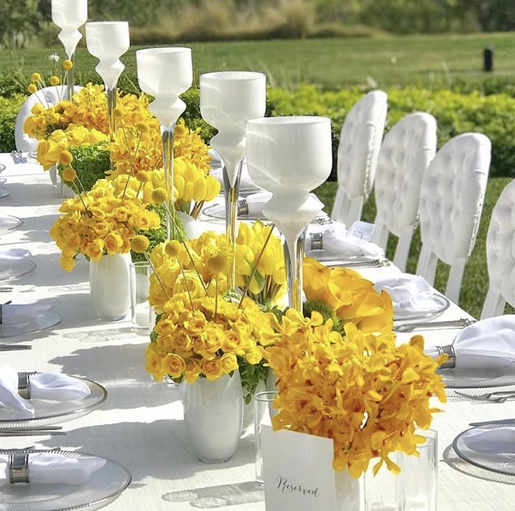 With so many options sometimes it’s best to keep it simple. #simpleelegance #seatingoptions #notchiavarichairs