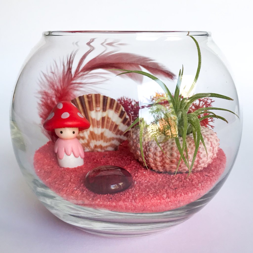 TerrariumKits's tweet photo. #NEW! The limited edition Shroomin’ Series: Toadstool Terrarium Kit. Available exclusively at my Etsy shop. Link in bio. 🍄
#TerrariumKits #DIY #airplant #minigardens #homedecor #deskdecor #Etsy #SFEtsy #shopsmall #toadstool https://t.co/1ftoRbJ0Cg