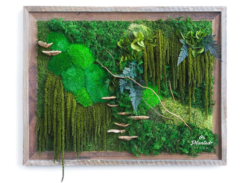 PlantedDesign's tweet photo. Ain’t nobody dope as me I’m dressed so fresh so green, so fresh and so green green. Fresh on our PlantedDesign Esty shop! #PlantedDesign #MossWall #MossWalls #MaintenanceFreeMoss #CustomMossWall #EtsySeller #EtsyShop #HomeDecor #GreenLiving #HousePlants #PlantPaintings https://t.co/NJLTDOjSWD