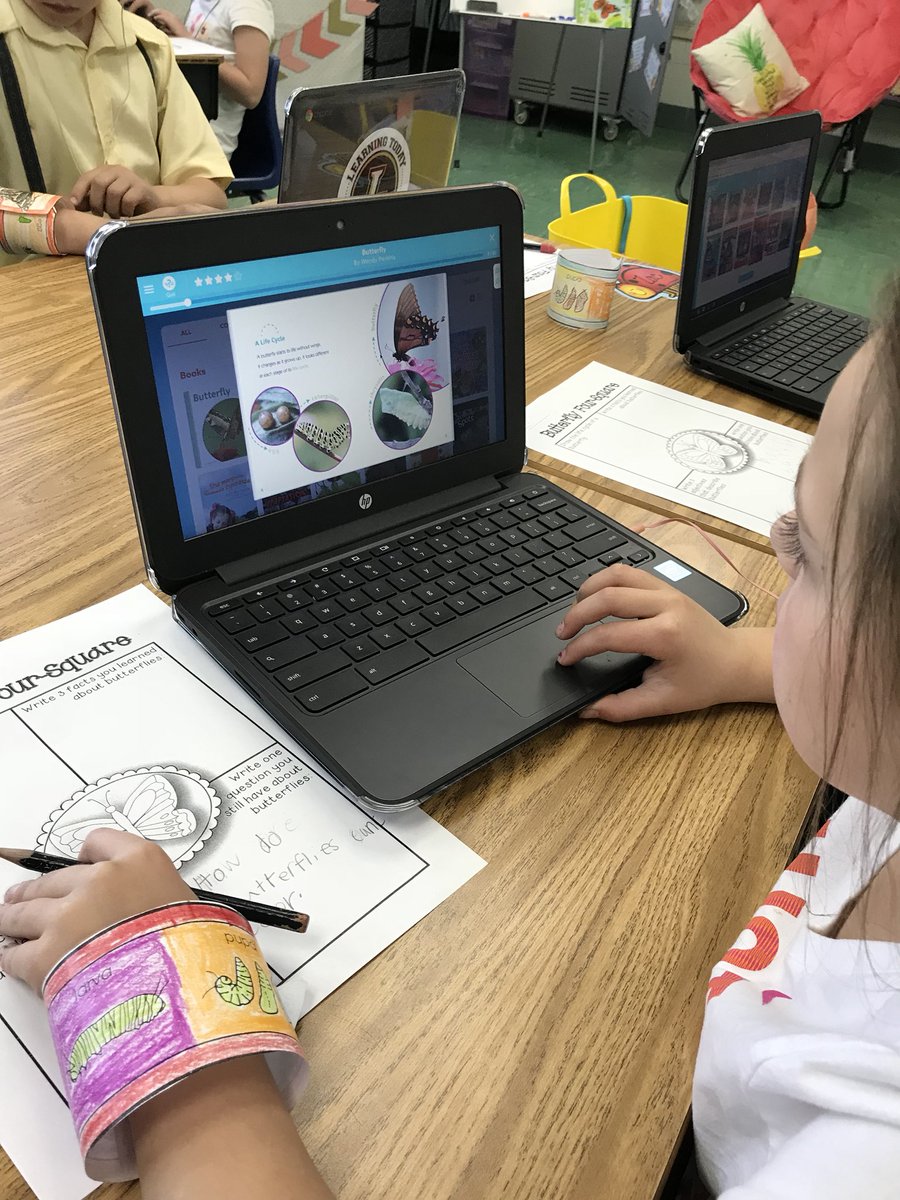 waglerLES_1st's tweet photo. STEMulating Friday - today we observed our growing pumpkin plants, cut our grass, investigated butterflies, and moved the cocoons into the net. Anxiously awaiting the arrival of our butterflies 🦋 #LionPride # firstgrade #springstem https://t.co/DhPqXq7Z0P