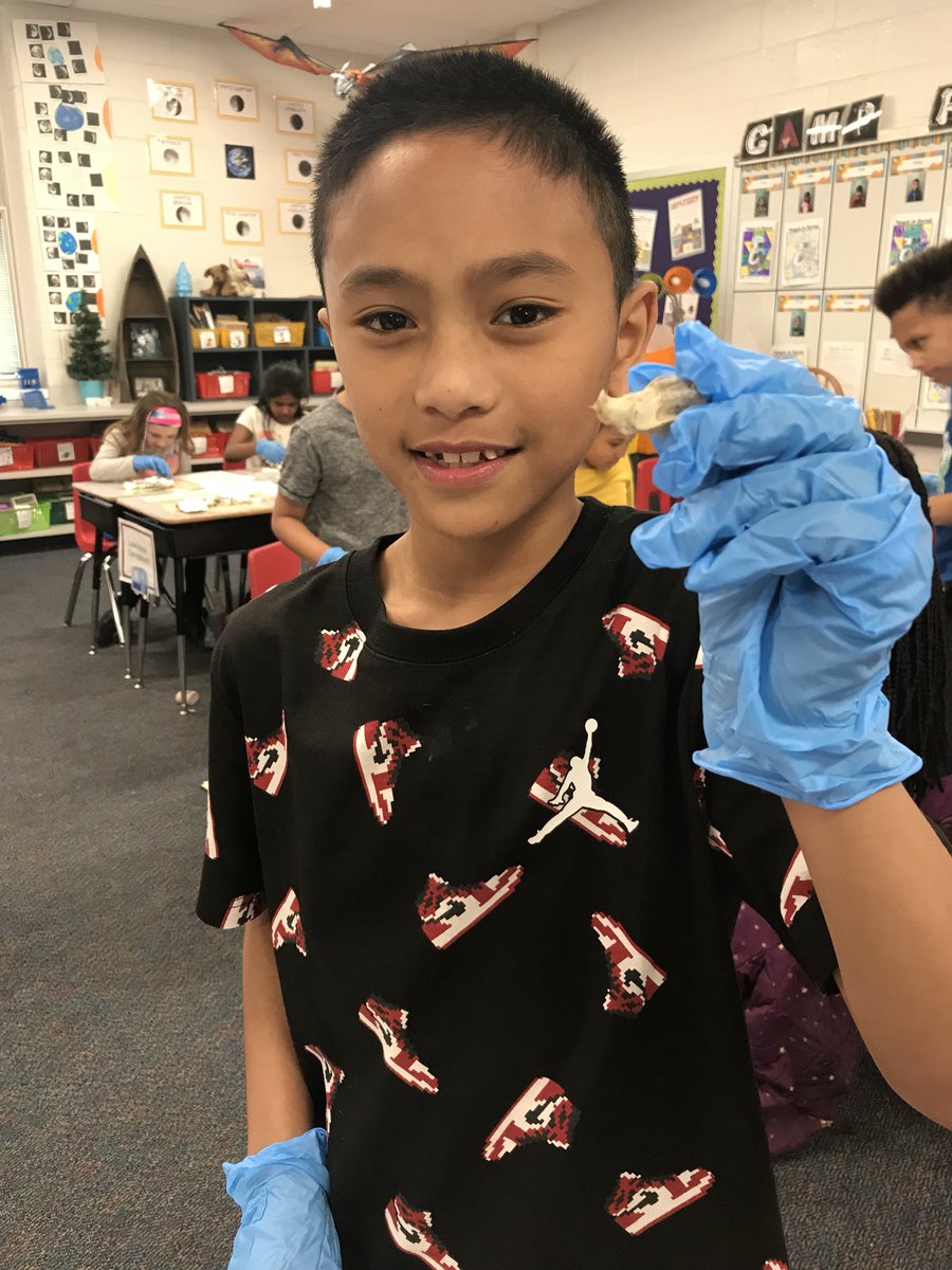 Owl pellet dissection! Our #DolsenThinkers did a great job digging in and identifying bones!
