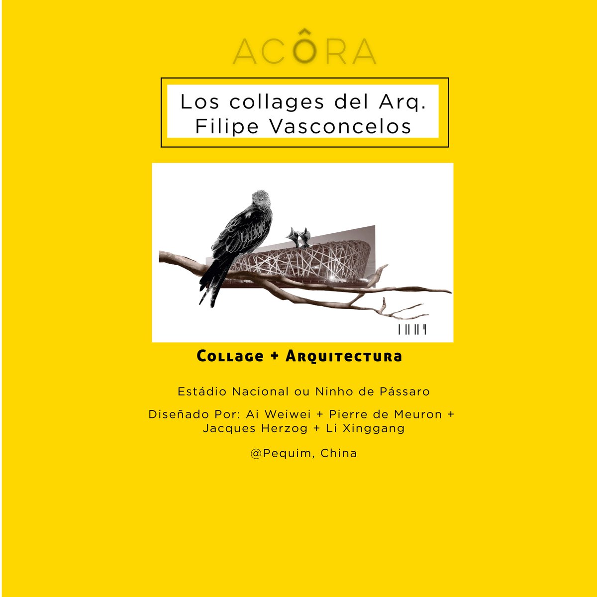 acoramx's tweet photo. Feliz día mundial del diseño! Para celebrar este día te compartimos algunas de nuestras colaboraciones favoritas 📐✏️ https://t.co/LwKQRhUheA