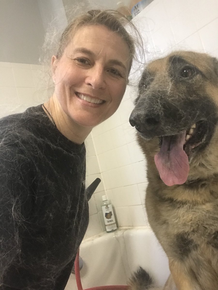 PETSatPLAYrva's tweet photo. Call us if your #dogs is starting to shed. #rva #rvadogs #doggiedaycare #grooming #groomingdog #hair https://t.co/qkPdQkjOe0