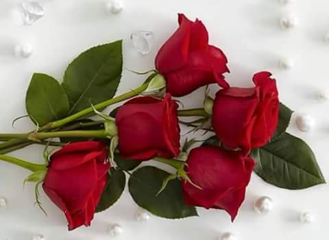 fethiyle's tweet photo. @oznur31426989 iyi geceler https://t.co/0fXzQIgErK